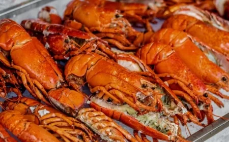 Lobsters Worth $400,000 Stolen on Route to Costco, Says Shipper