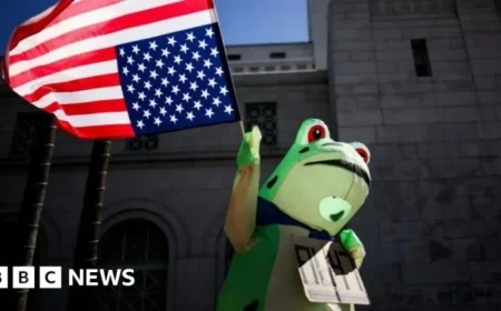 Frogs Evolve from Right-Wing Meme to Anti-ICE Protest Icon