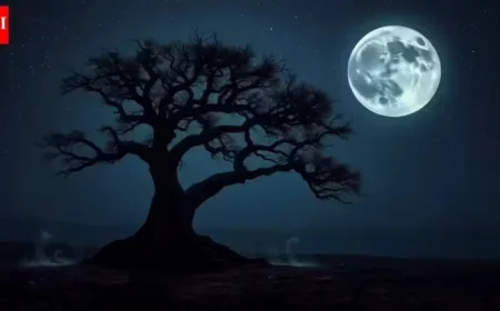 Guide to Today’s Moon Phase (Dec 22, 2025) with Affirmations for All Zodiac Signs