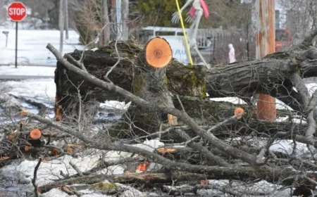Staying Safe During Michigan Winter Power Outages