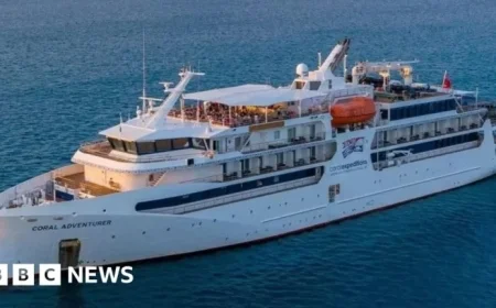 Cruise Ship Strikes Reef After Passenger Left on Island