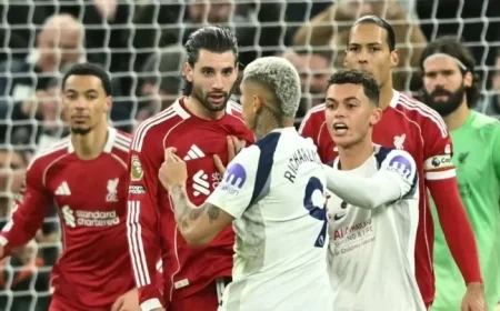 Former PGMOL Chief: Richarlison Faced Potential Red Card Against Liverpool