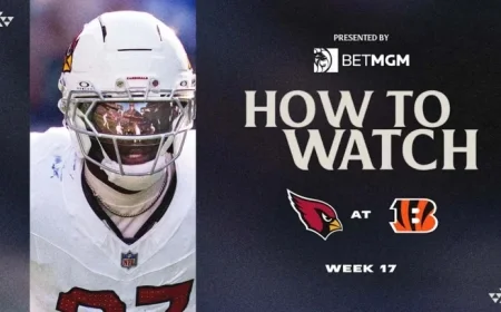Cardinals vs. Bengals Week 17: How to Watch Live