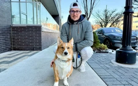 PETA Calls on Delaware to Implement Dog-Walking Mandate