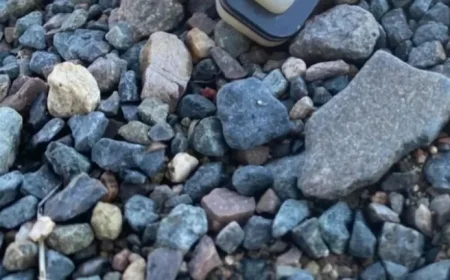 Homeowner Discovers Mysterious Device in Driveway: ‘Strange Find’