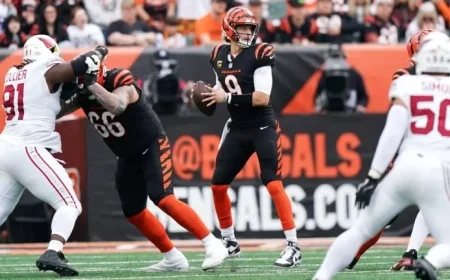 Bengals’ Joe Flacco Steps In for Burrow in 4th Quarter vs Cardinals