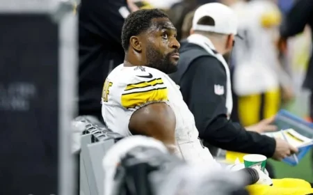 Steelers’ DK Metcalf Suspended Two Games for Fan Altercation vs. Lions