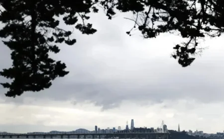 Bay Area Storm: High Winds and Severe Thunderstorm Alert