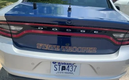 Alabama Man Dies After Vehicle Hits Utility Pole and Tree