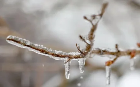 Upstate NY Braces for Rain, Ice, and Snow Before New Year’s Eve