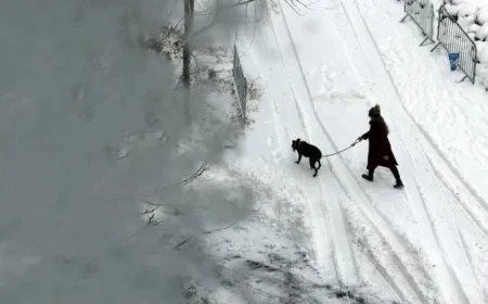 ‘Bomb Cyclone to Unleash Heavy Snow, Blizzard, and Hazardous Travel’