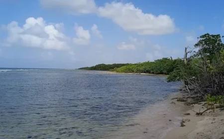 Sixty-Year-Old Man Dies While Hiking in Anse-Bertrand