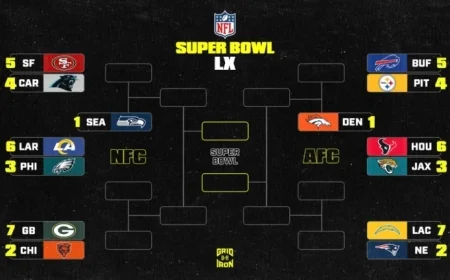 NFL Playoff Picture 2025-26: Updated AFC, NFC Standings After Week 17