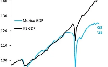 Robin J Brooks Analyzes Stagnant Economic Growth in Mexico