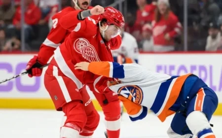 Red Wings Thrive Without an Enforcer: Here’s Why