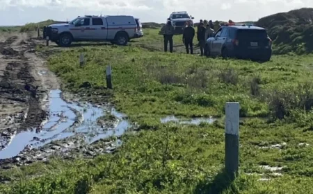 Santa Cruz County: Body Discovered Near Recent Shark Sighting, Officials Confirm