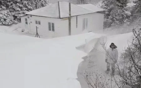 Holiday Storms Blanket Parts of N.L. in Heavy Snow