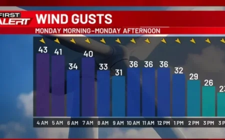 First Alert: Blowing Snow Creates Hazardous Travel Conditions