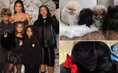 PETA Criticizes Kim Kardashian for Giving Puppy as a Gift