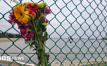 Aircraft Crash Near Chelmsford: Essex Police Investigate Reservoir