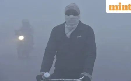 Delhi-NCR, UP Schools Closed Today as IMD Issues Red Alert for Fog