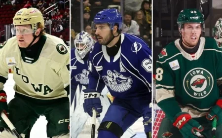 Lightning and Wild Complete Trade Deal | TheAHL.com