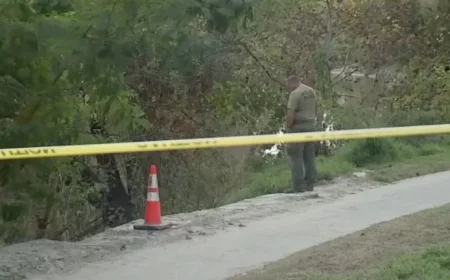 Rumors Debunked: Experts Confirm False Claims on Houston Bayou Bodies