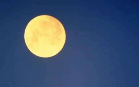 Wolf Moon on January 3, 2026: 4 Zodiac Signs Greatly Affected