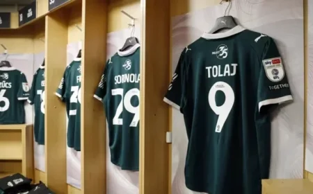 Wycombe Wanderers Face Off Against Team: Home Game Preview