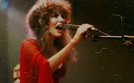 Stevie Nicks’ Most Despised Fleetwood Mac Lyric Revealed