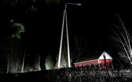 Hannes Storm Cuts Power to Over 100,000 Homes