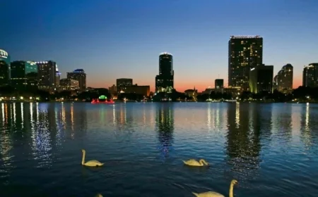 Bird Flu Suspected as 12 Swans Die at Orlando’s Lake Eola