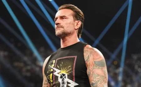 WWE Legend Claims CM Punk’s Career Over After Recent Raw Performance