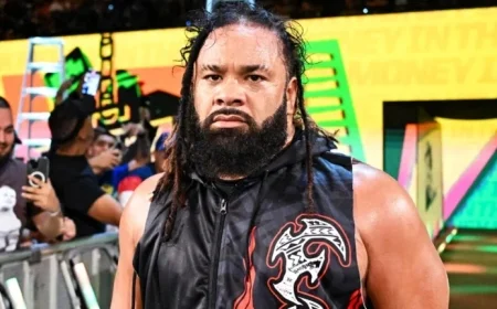 9 Wrestlers Who Declined Sharply in 2025