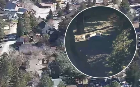 AIR7 Reveals First Aerial View of Wrightwood Storm Damage