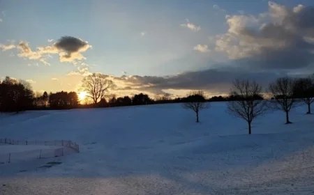 New Year Begins with Cold and Snowy Weather