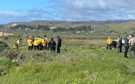 California Swimmer Found Dead, Suspected Shark Attack Victim