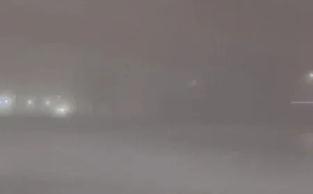 Dense Fog Envelops the Area