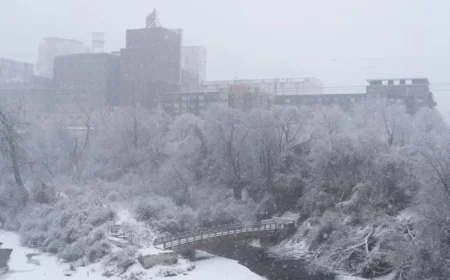 Minnesota Blanketed by Snow After Post-Holiday Blizzard – MPR News