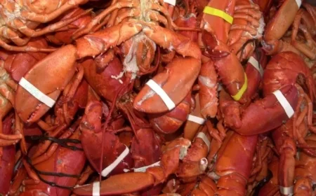 Lobsters Worth $400K Stolen from Massachusetts Warehouse