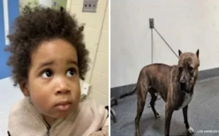 Los Angeles Police Seek Public’s Help Identifying Boy Found in Stolen Car