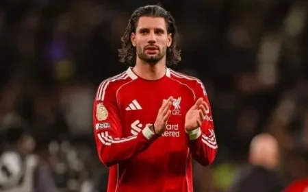 Top Free Hit Team Picks for FPL Gameweek 19