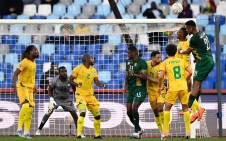 Zimbabwe and South Africa Deliver Unforgettable Comedy Goals