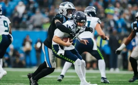 Panthers Defeated by Seahawks; Playoff Hopes Hinge on Next Week