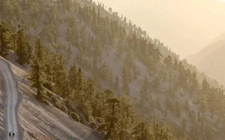 Tragedy on Mt. Baldy: Harsh Weather Impedes Recovery of Hikers’ Bodies