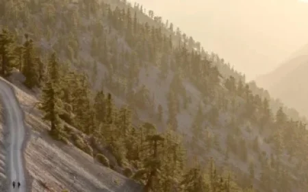 TJ Maxx Stores to Permanently Close as Locations Conclude Operations Soon