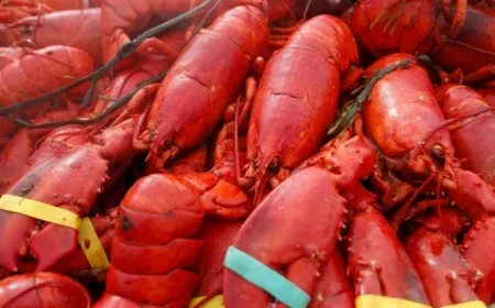 Thieves Steal $400,000 in Lobster, Crab, and Oysters in New England