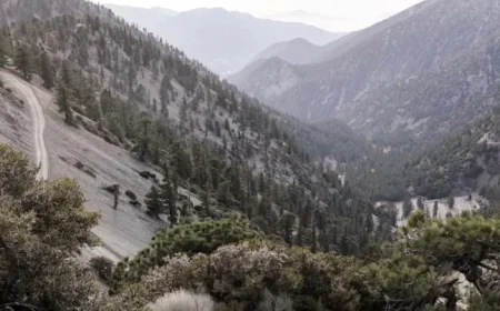 Three Hikers Discovered Dead Near Southern California Trail