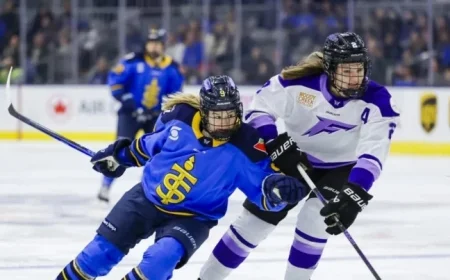 Minnesota vs. Toronto: Dec. 30 Pre-Game Overview