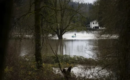 Washington State Poised to Break Record for Warmest December Again